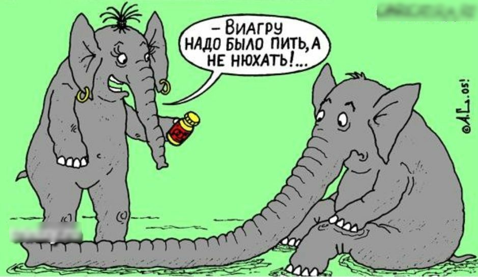 Видгрз НАДО БЫАО питьА не шахты