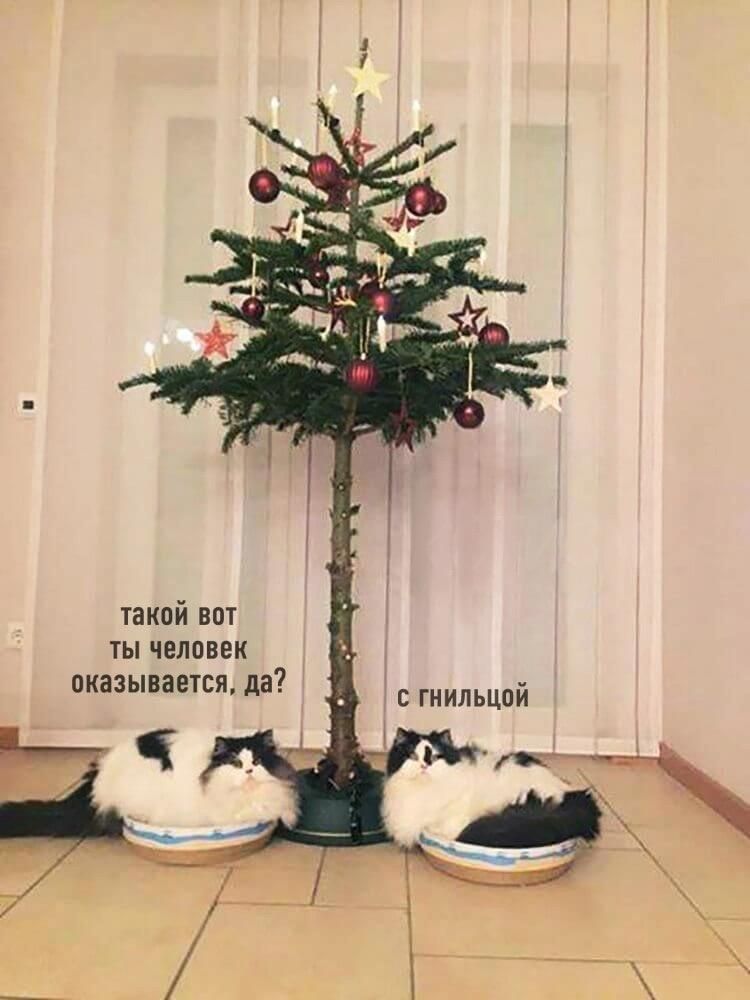 такой вот ты человек оказывается да