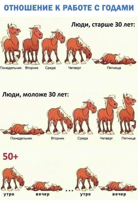 ОТНОШЕНИЕ К РАБОТЕ с ГОДАМИ Люди старше 30 лет