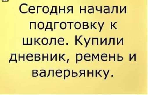 Сегодня начали подготовку к школе Купили дневник ремень и валерьянку