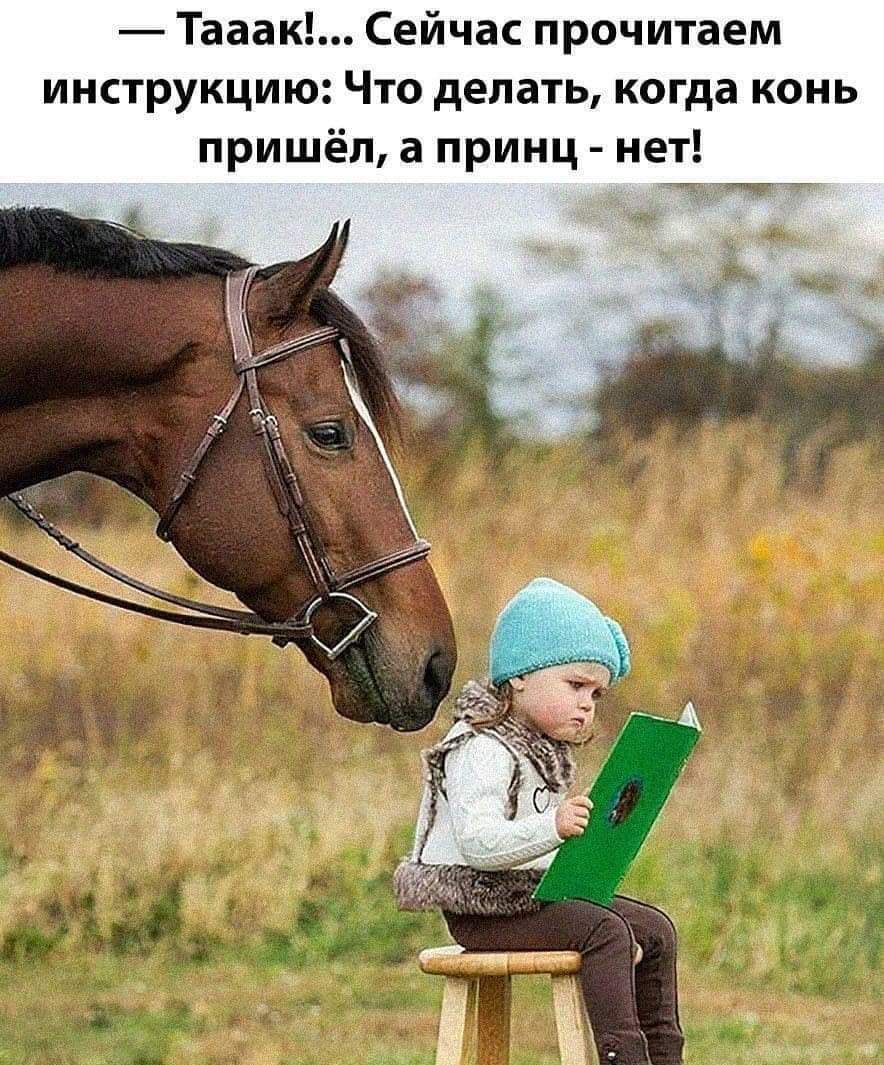 Тааак Сейчас прочитаем инструкцию Что делать когда конь пришёл а принц нет