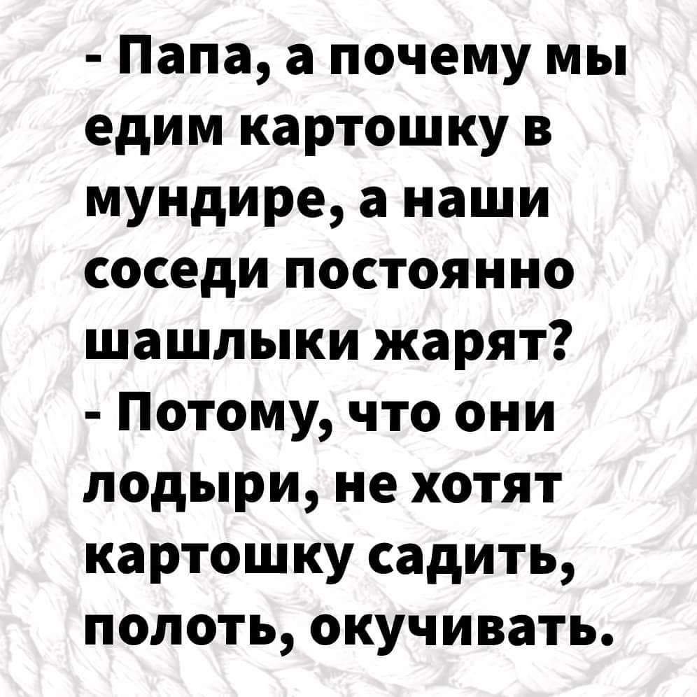 Папа а почему мы едим картошку в мундире а наши соседи постоянно шашлыки жарят Потому что они лодыри не хотят картошку садить полоть окучивать