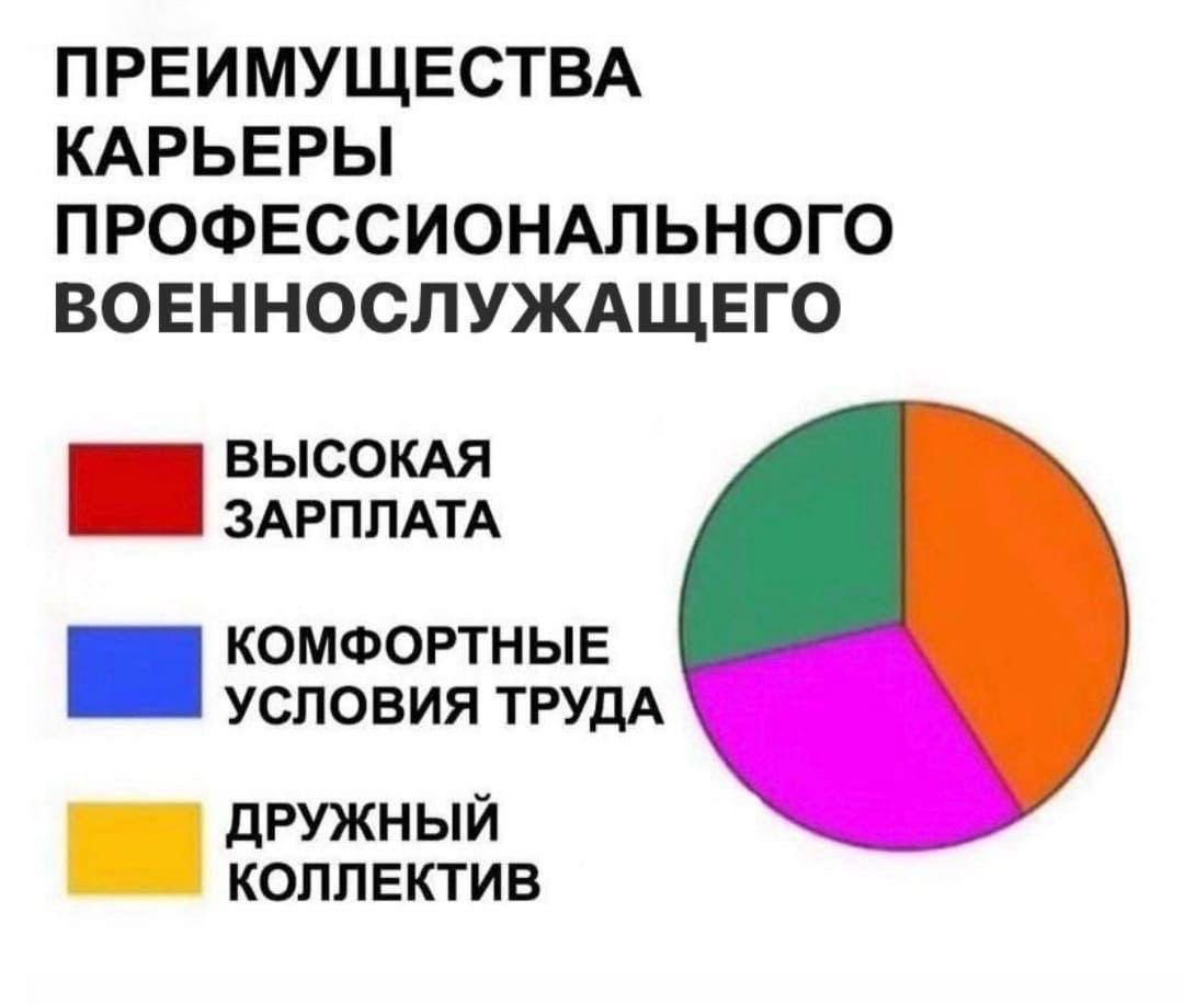 ПРЕИМУЩЕСТВА КАРЬЕРЫ ПРОФЕССИОНАЛЬНОГО ВОЕННОСЛУЖАЩЕГО ВЫСОКАЯ ЗАРПЛАТА КОМФОРТНЫЕ УСПО ВИЯ ТРУДА дружный коллектив