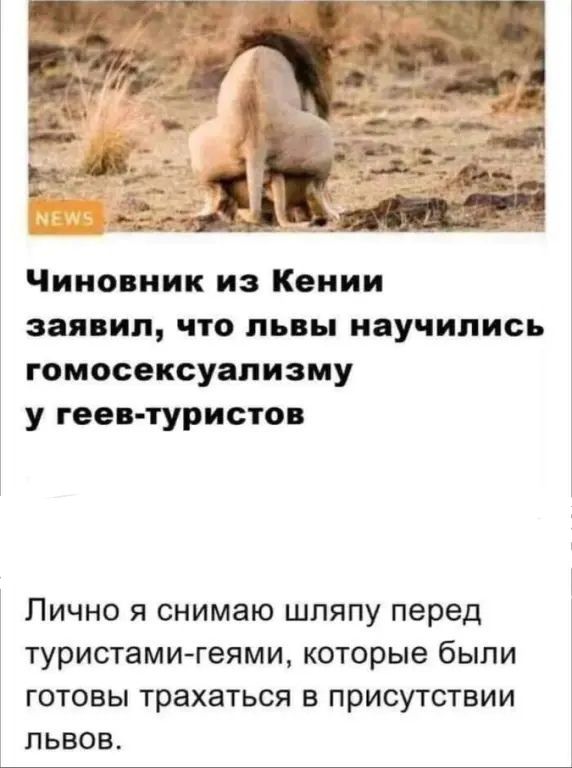 Чиновник из Кении заявил что львы научились гомосексуализму у геев туристо Пично я снимаю шляпу перед туристами геями которые были готовы трахаться в присутствии львов