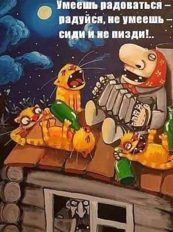 прим шип ппп ьт