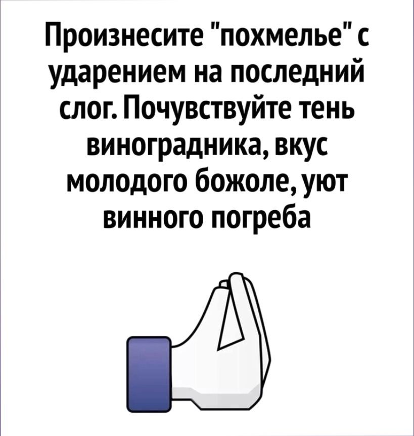 Произнесите похмелье ударением на последний слог Почувствуйте тень виноградника вкус молодого божоле уют винного погреба