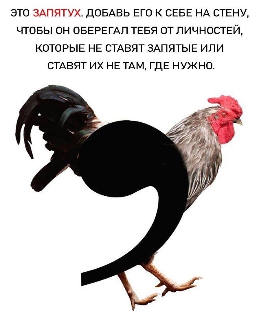 ЭТО ЗАПЯТУХ ДОБАВЬ ЕГО К СЕБЕ НА СТЕНУ ЧТОБЫ ОН ОБЕРЕГАП ТЕБЯ ОТ ПИЧНОСТЕЙ КОТОРЫЕ НЕ СТАВЯТ ЗАПЯТЫЕ ИПИ СТАВЯТ ИХ НЕ ТАМ ГДЕ НУЖНО