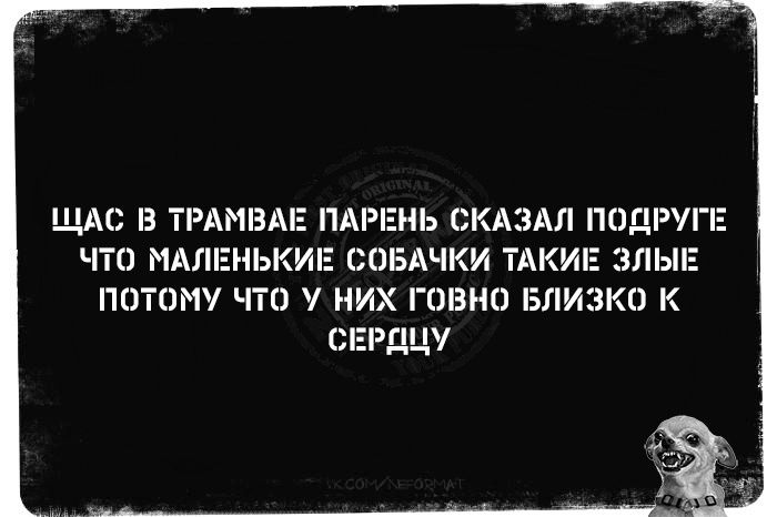 ЩАС ТРАМВАЕ ПАРЕНЬ СКАЗАЛ ППЦРУПЕ ЧТО МАЛЕНЬКИЕ СОБАЧКИ ТАКИЕ ЗЛЫЕ ПОТОМУ ЧТО НИХ ГОВНО БПИЗКП К ЭЕРДЦ