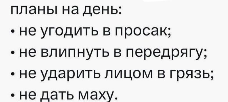 планы на день не угодить в просак не влипнуть в передрягу не ударить лицом в грязь не дать маху