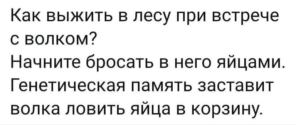 Как выжить в лесу при встрече с волком Начните бросать в него яйцами Генетическая память заставит волка ловить яйца в корзину