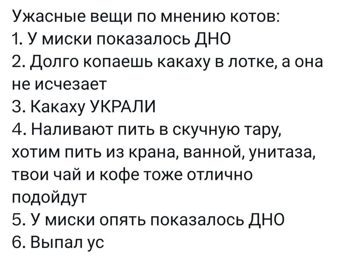 Ужасные вещи по мнению котов 1 У миски показалось ДНО 2 Долго копаешь какаху в лотке а она не исчезает 3 Какаху УКРАЛИ 4 Напивают пить в скучную тару хотим пить из крана ванной унитаза твои чай и кофе тоже отлично подойдут 5 У миски опять показалось дНО 6 Выпал ус