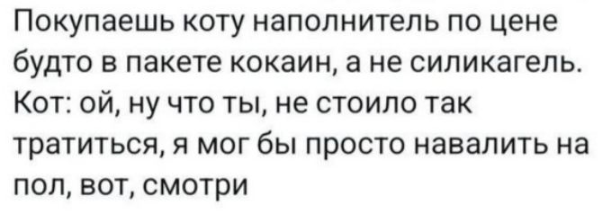 Покупаешь коту наполнитель по цене будто в пакете кокаин а не силикагепь Кот ой ну что ты не стоило так тратиться я мог бы просто навалить на пол вот смотри