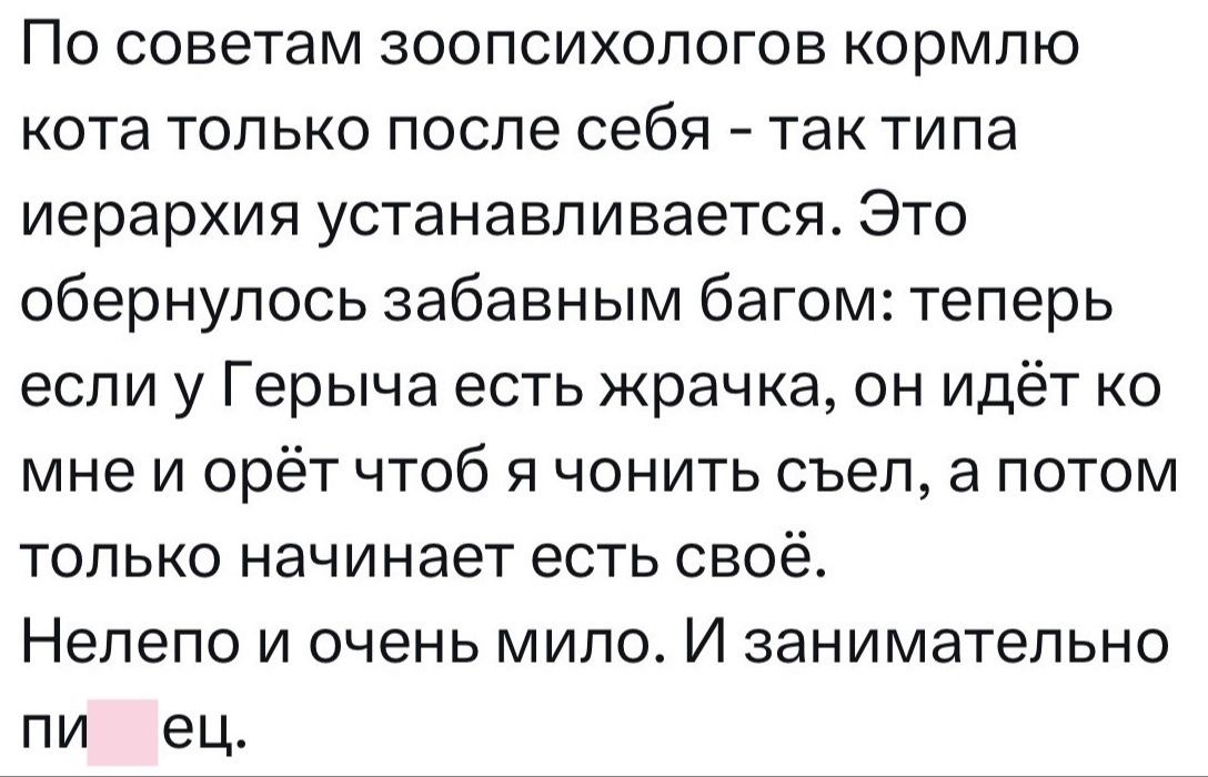 По советам зоопсихологов кормлю кота только после себя так типа иерархия устанавливается Это обернулось забавным багом теперь если у Герыча есть жрачка он идёт ко мне и орёт чтоб я чонить съел а потом только начинает есть своё Нелепо и очень мило И занимательно пи ец