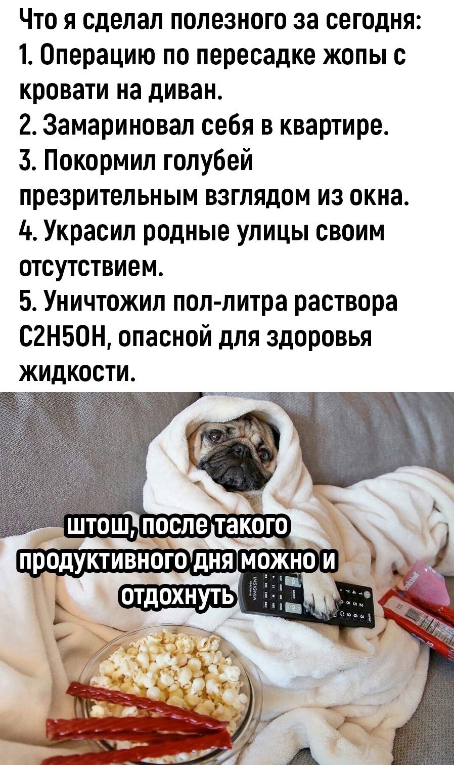 Что я сделал полезного за сегодня 1 Операцию по пересадке жопы с кровати на диван 2 Замариновал себя в квартире 3 Покормил голубей презрительным взглядом из окна 4 Украсил родные улицы своим отсутствием 5 Уничтожил пол литра раствора сгнвон опасной для здоровья жидкости