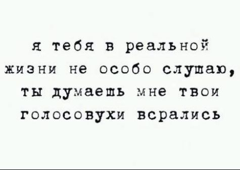 я тебя в реальной жизни не особо слушаю ты думаешь мне твои голосовухи всрались