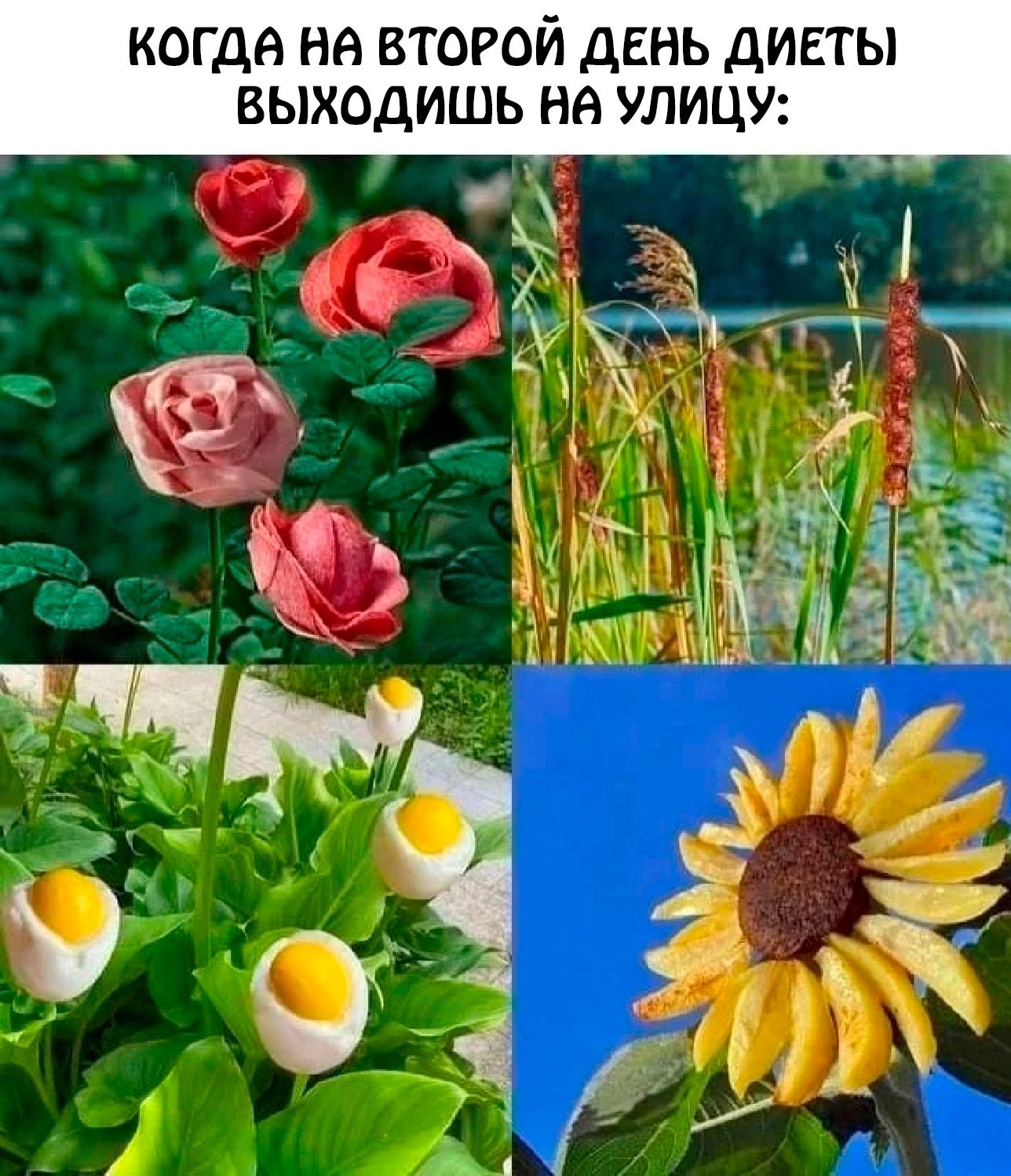 когда не второй день дигты выходишь на улицу