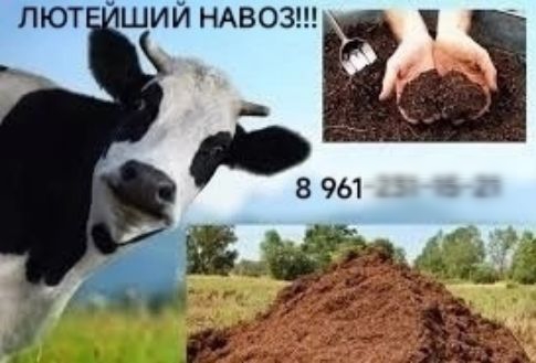 ПЮТ ШИИ НАВОЗ _ 8 961 23145 21