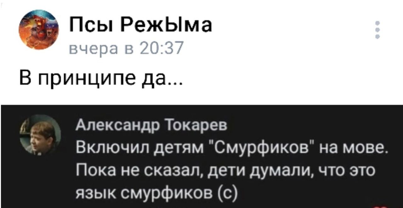 Псы РежЫма В принципе да Александр Токарев Включил детям Смурфиков на мове Пока не сказал дети думали что это язык смурфиков с