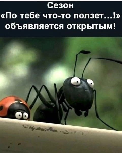 Сезон По тебе что то ползет объявляется открытым