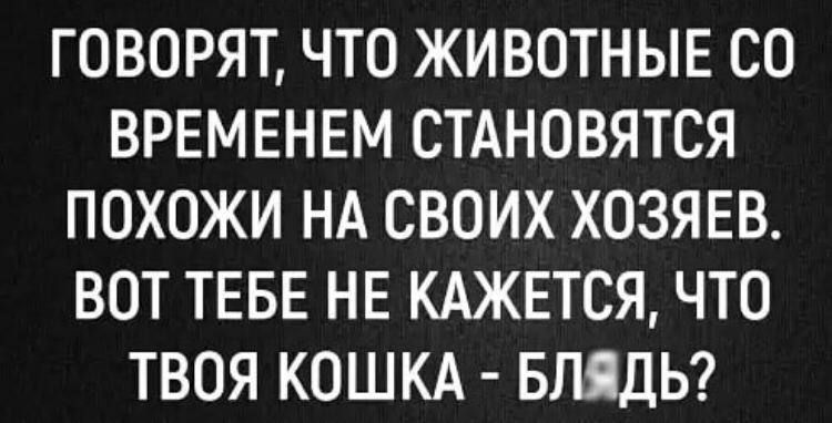 ГОВОРЯТ ЧТО ЖИВОТНЫЕ СО ВРЕМЕНЕМ СТАНОВЯТСЯ ПОХОЖИ НА СВОИХ ХОЗЯЕВ ВОТ ТЕБЕ НЕ КАЖЕТСЯ ЧТО ТВОЯ КОШКА БГШДЬ