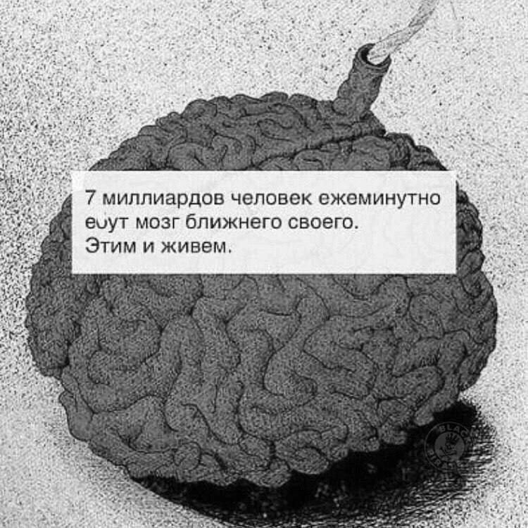 7 миллиардов человек ежеминутно еиут МОЗГ ЁПИЖНЕГО СВОЕГО Этим и живем