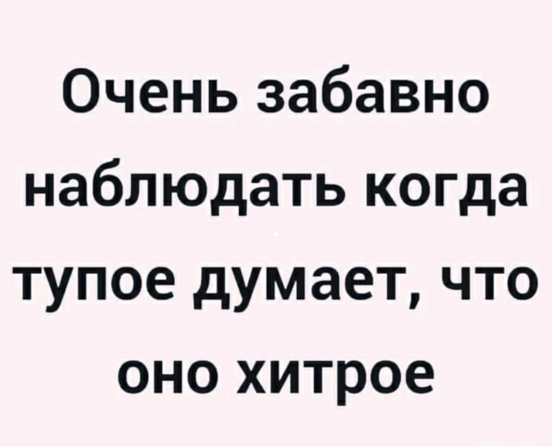 Очень забавно наблюдать когда тупое думает что оно хитрое