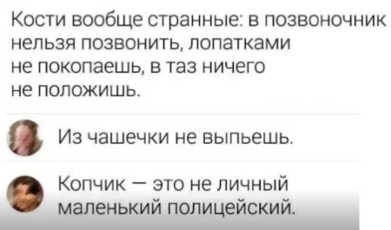 КОСТИ вообще странные В ПОЗВОНОЧНИК НЕЛЬЗЯ ПОЗВОНИТЬ ПОПЭТКЗМИ Не ПОКОПаеШЬ Б таз НИЧЕГО не ПОПОЖИШЬ ИЗ чашечки не ВЫПЬЕШЬ Копчик это не личный