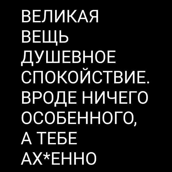 ВЕЛИКАЯ ВЕЩЬ ДУШЕВНОЕ СПОКОЙСТВИЕ ВРОДЕ НИЧЕГО осовЕнного А ТЕБЕ АХЕННО