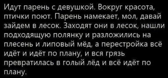 Идут парень с девушкой Вокруг красота ПТИЧКИ ПОЮТ Парень намекает МОЛ давай зайцем В ПЕСОК Заходят ОНИ В ПЕСОК НВШЛИ подходящую полянку и разложились на плесень и липовый мёд а перестройка всё идёт и идёт по плану и вся грязь превратилась в голый лёд и всё идёт по плану