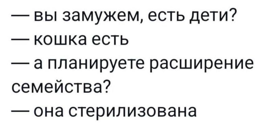 вы замужем есть дети кошка есть а планируете расширение семейства она стерилизована