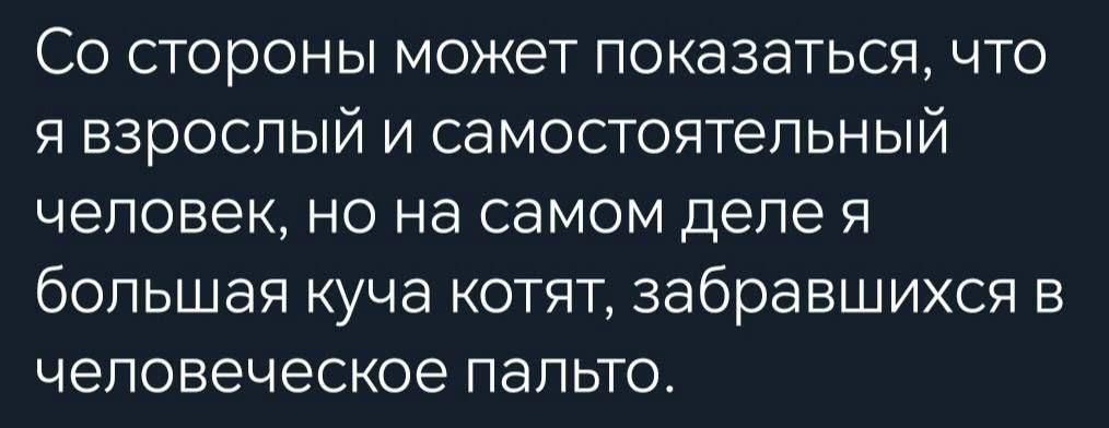 Со стороны может показаться что я взрослый и самостоятельный человек но на самом деле я большая куча котят забравшихся в человеческое пальто