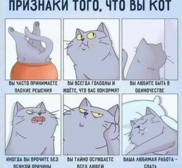 ПРИЗНАКИ ТОГО ЧТП БЫ КОТ Ё ш чит ппиищш шли пиши к и вши гит ии пт чи пиками пианист вишни и Ъ Нюши ш пн пт птиц ши тиши ции шп