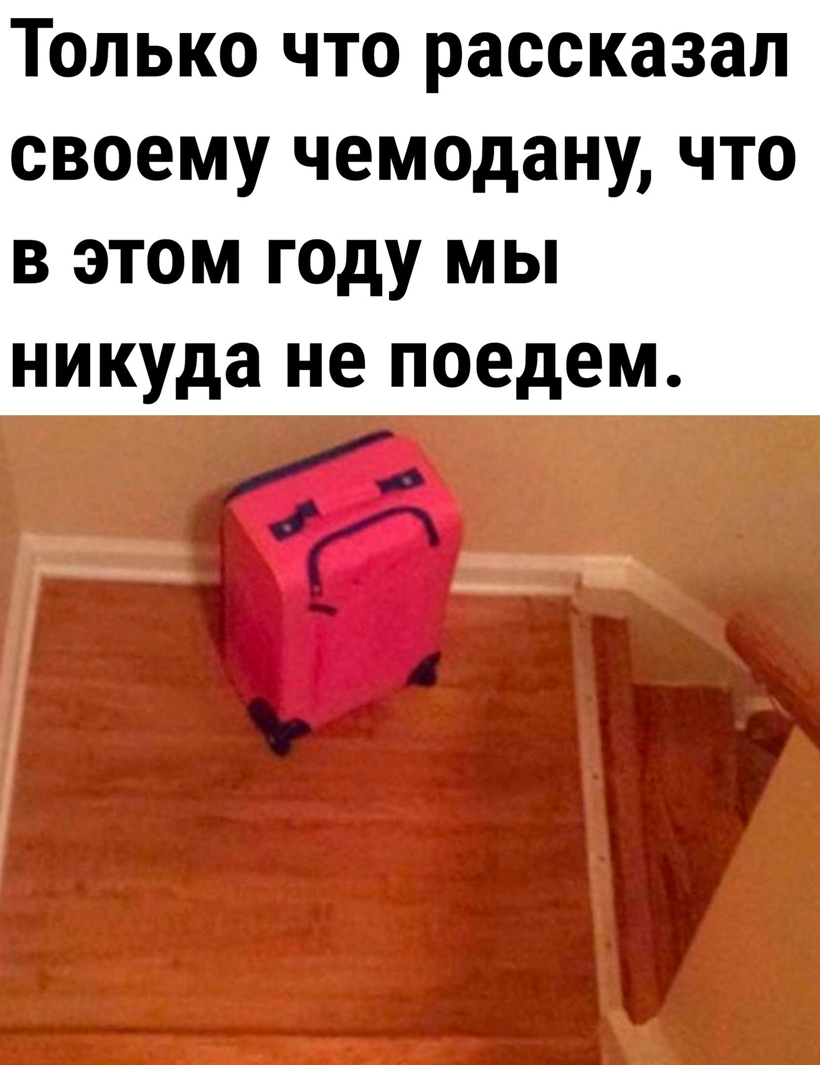 Только что рассказал своему чемодану что в этом году мы никуда не поедем