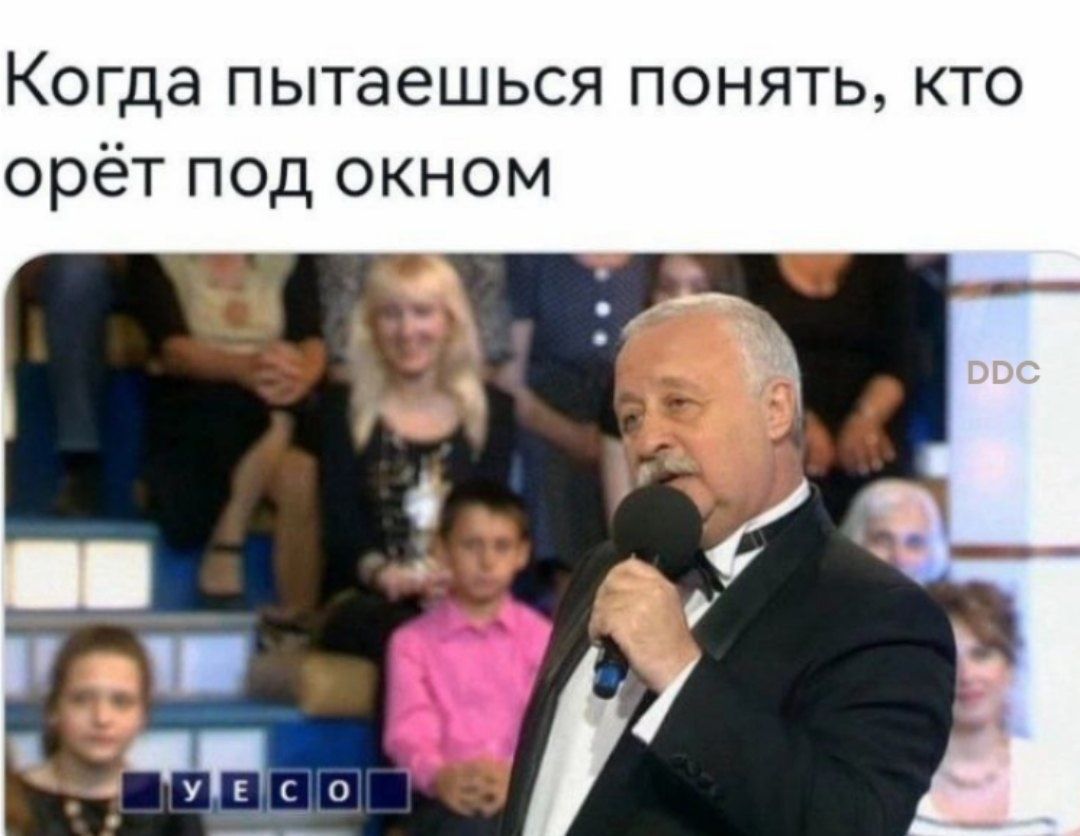 Когда пытаешься понять кто орёт под окном