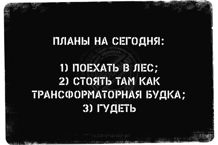 ПЛАНЫ НА СЕГОДНЯ 11 ГЮЕХАТЬ З ЛЕС 2 СТОЯТЬ ТАМ КАК ТРАНСФОРМАТОРНАЯ БУДКА 3 ДП