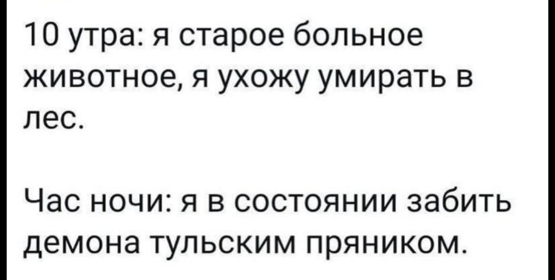 10 утра я старое больное животное я ухожу умирать в лес Час ночи я в состоянии забить демона тульским пряником