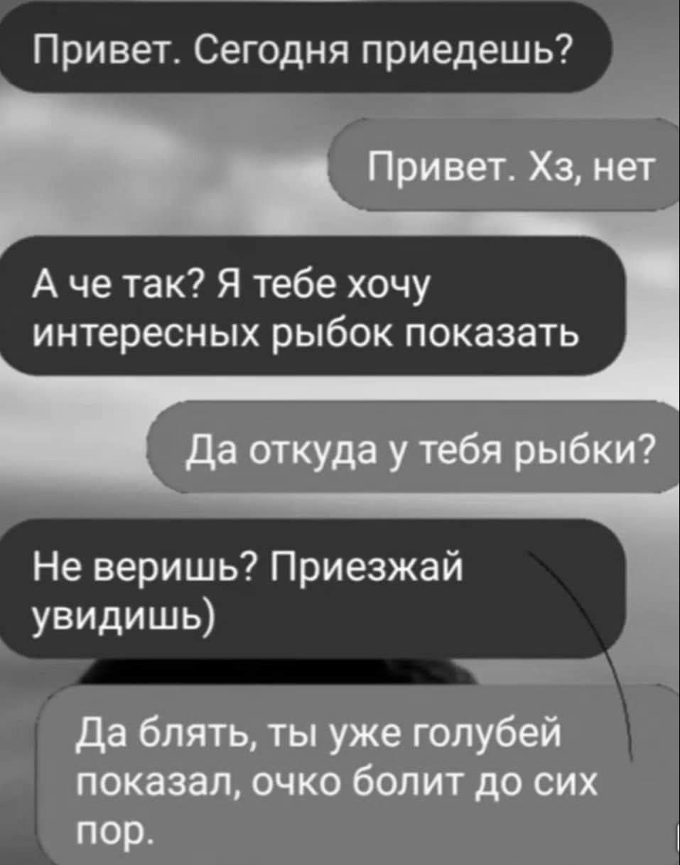 Привет Сегодня приедешь Аче так Я тебе хочу интересных рыбок показать Не веришь Приезжай увидишь