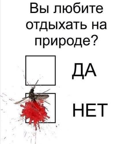 Вы любите отдыхать на природе ДА НЕТ