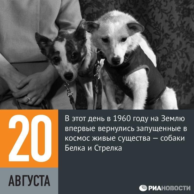 В этот день в 1960 году на Землю впервые вернулись запущенные в космос живые существа собаки Белка и Стрелка РИАНОВОСТИ