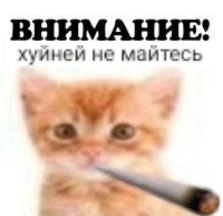 ВНИМАНИЕ хуйней не майтесь