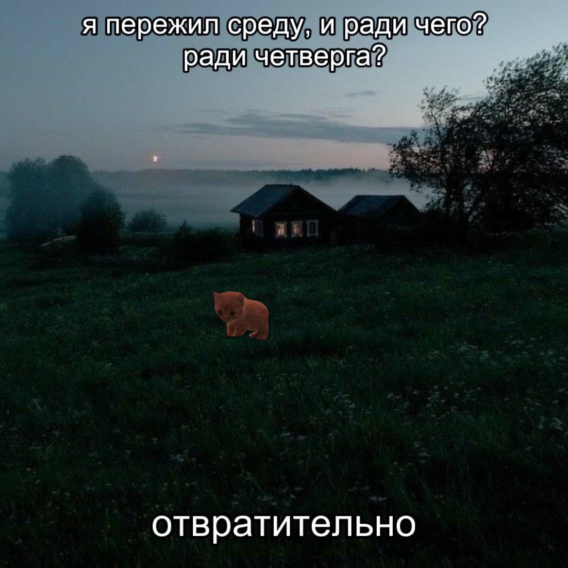 я пережилсредудирадичетой отвратительно