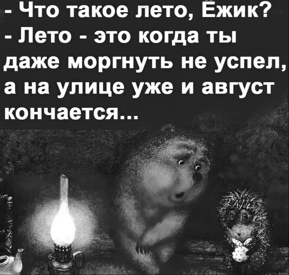 Что такое лето Ежик Лето это когда ты даже моргнуть не успел а на улице уже и август кончается