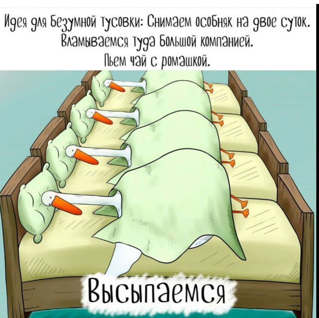 Идея 9 Безумной тусовки Снимаем особняк на 9вое суток Вламываемся туда Болншой компанией Пьем ч2й с ромашко оава ойс ооа Высыпаемся