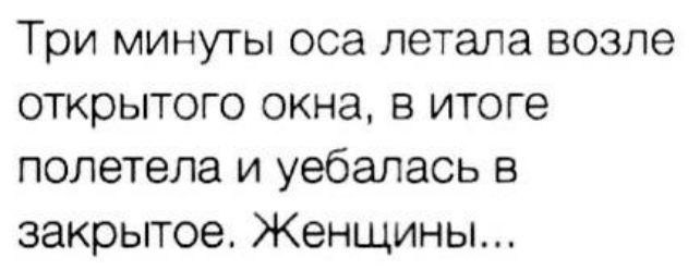 Три минуты оса летала возле открытого окна в итоге полетела и уебалась в закрытое Женщины