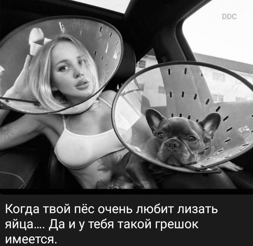 Когда твой пёс очень любит лизать яйца Да и у тебя такой грешок имеется