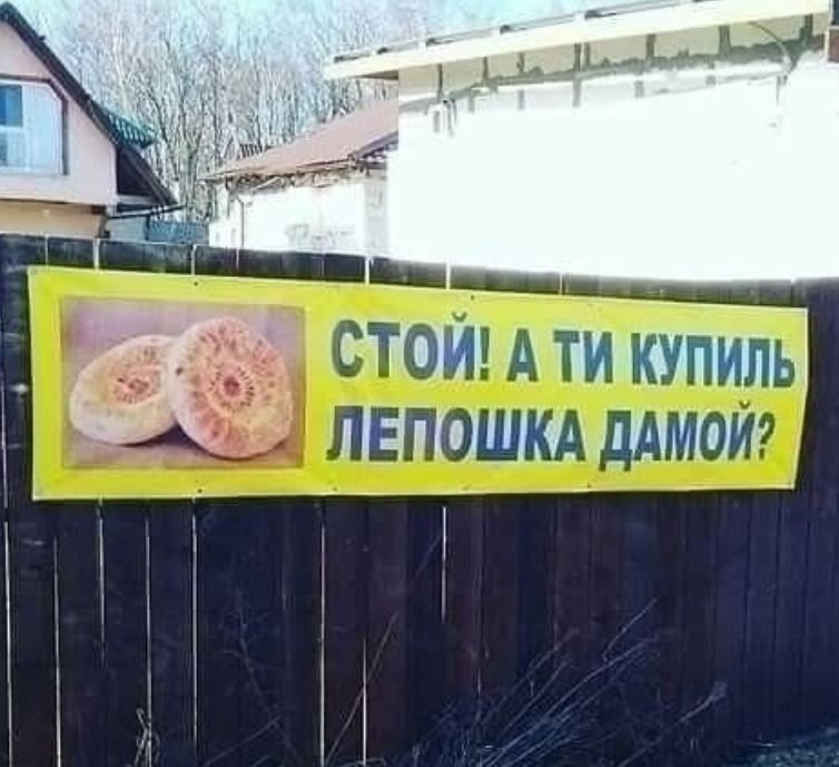 Р с стойдтисти РОФ 1ШЩА