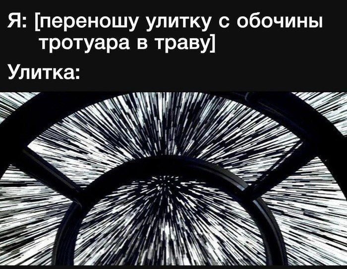 Я переношу улитку с обочины тротуара в траву Улитка Ура