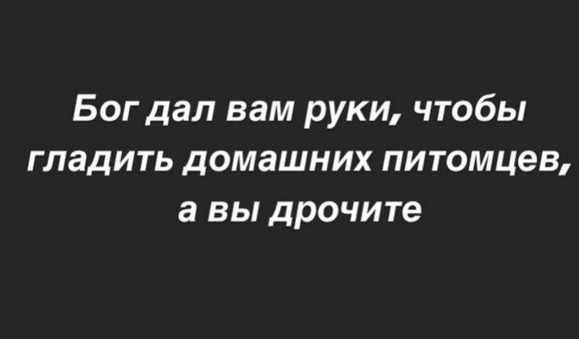 Бог дал вам руки чтобы гладить домашних питомцев а вы дрочите