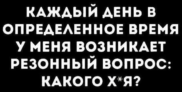 КАЖДЫЙ ДЕНЬ В ОПРЕДЕЛЕННОЕ ВРЕМЯ У МЕНЯ ВОЗНИКАЕТ РЕЗОННЫЙ ВОПРОС КАКОГО ХЯ