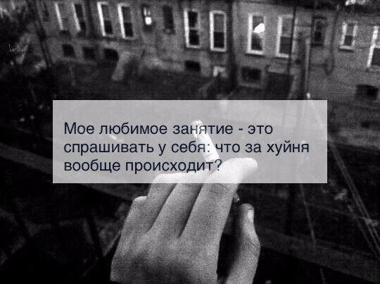 Мое любимое занятие это спрашивать у себя что за хуйня вообще происходит